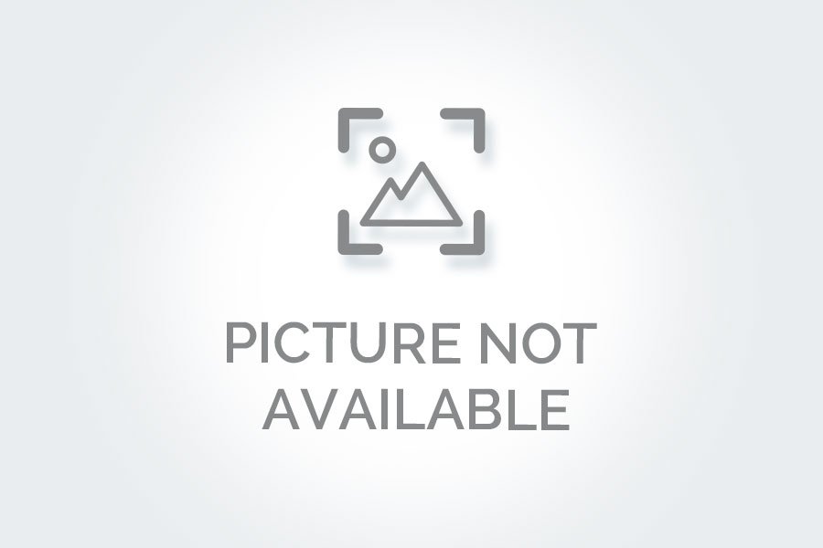 Bathroom Odor Remover 